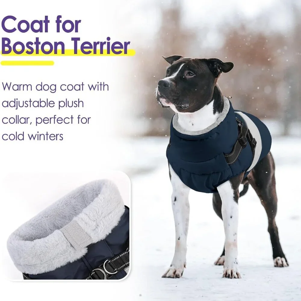 Small Dog Coat with Harness Built in